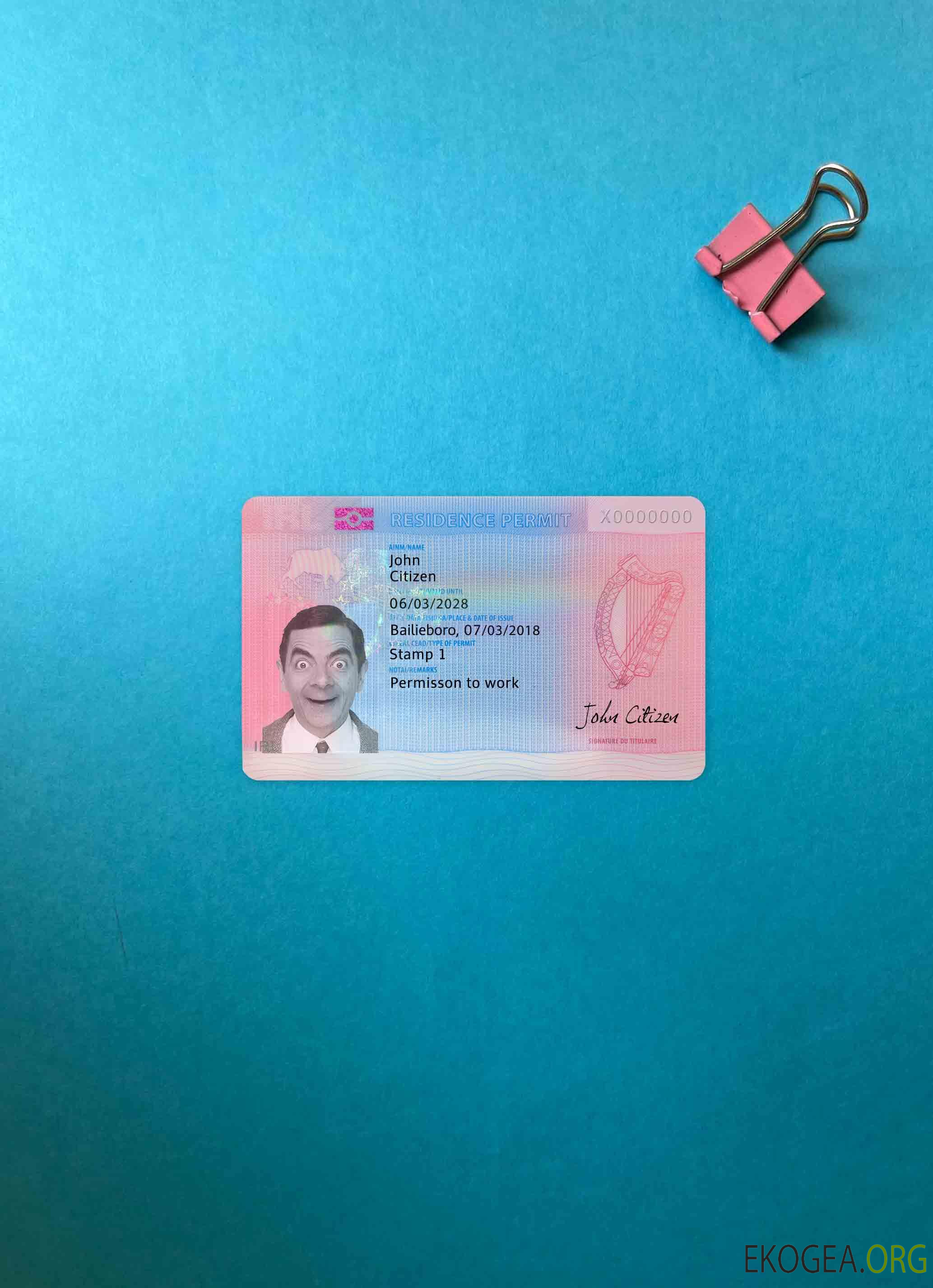 Photolook du permis de séjour en Irlande AVANT